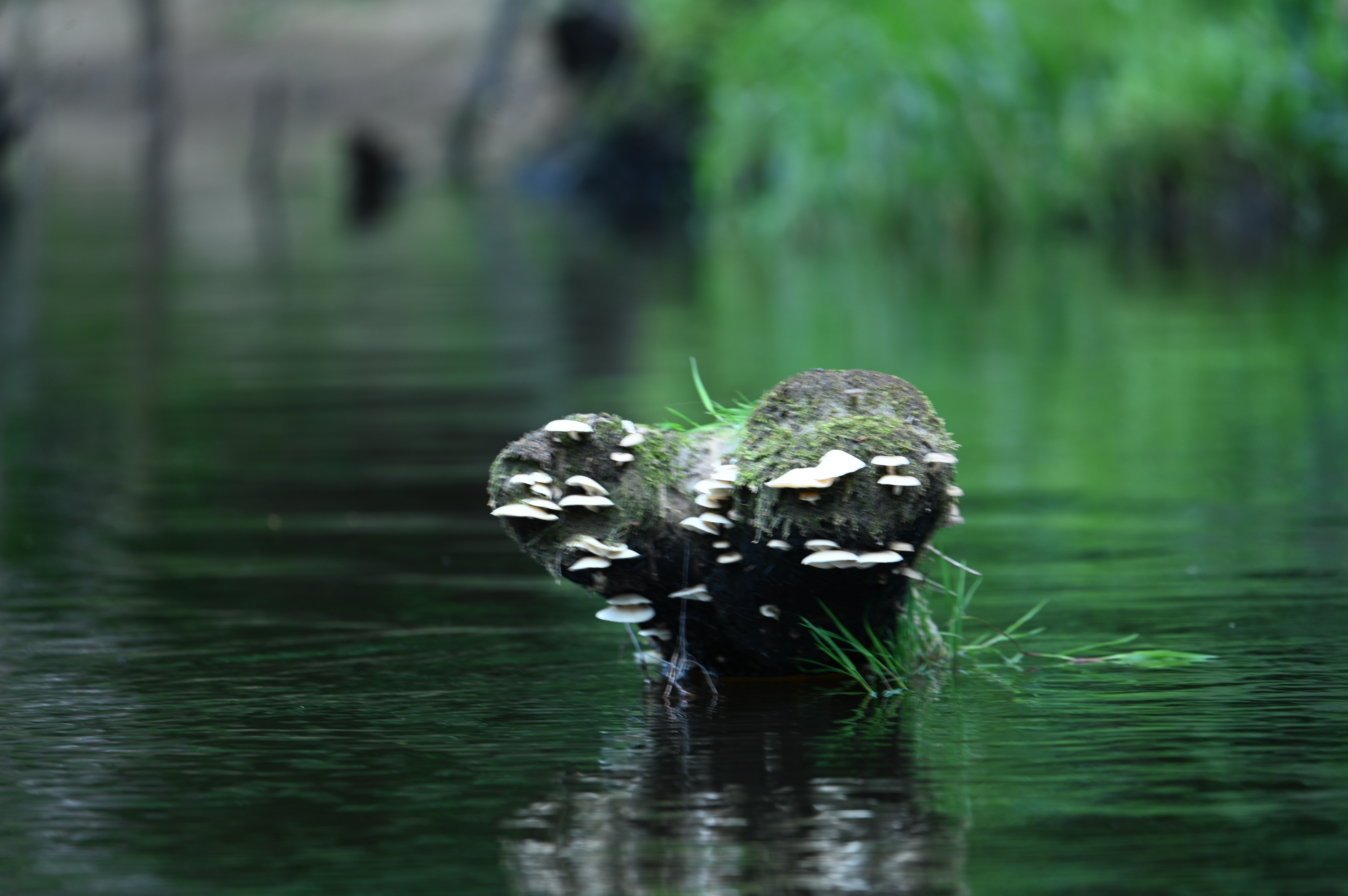 2025/07/09-14 - trip/DSC_0210.JPG